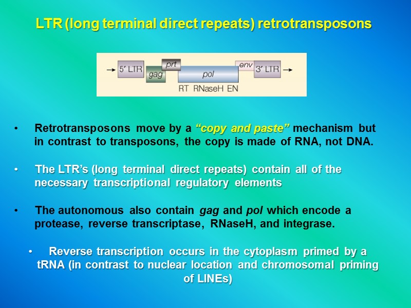 LTR (long terminal direct repeats) retrotransposons Retrotransposons move by a “copy and paste” mechanism